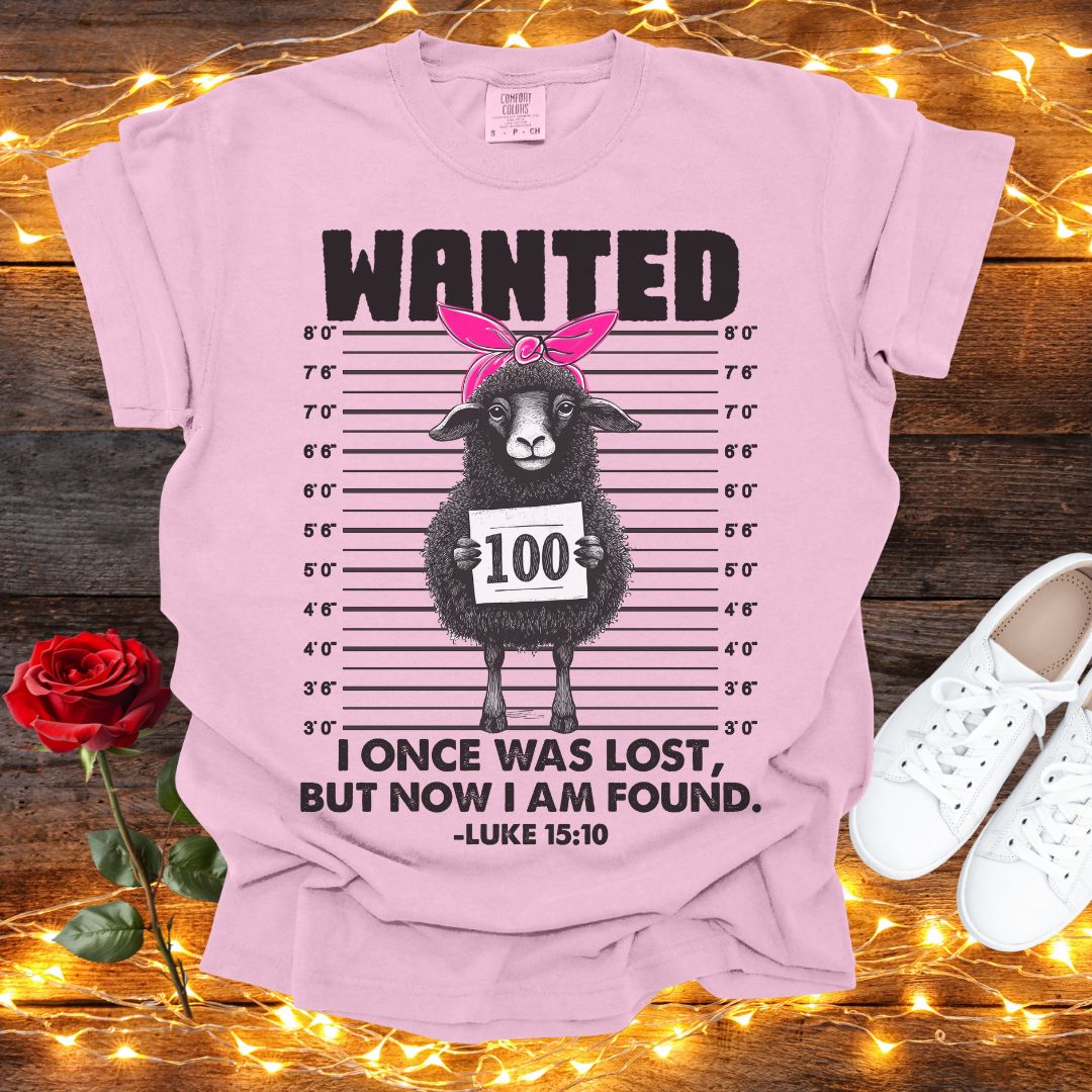 Funny Lost Lamb I Once Was Lost But Now I Am Found Tee Comfort Colors Blossom