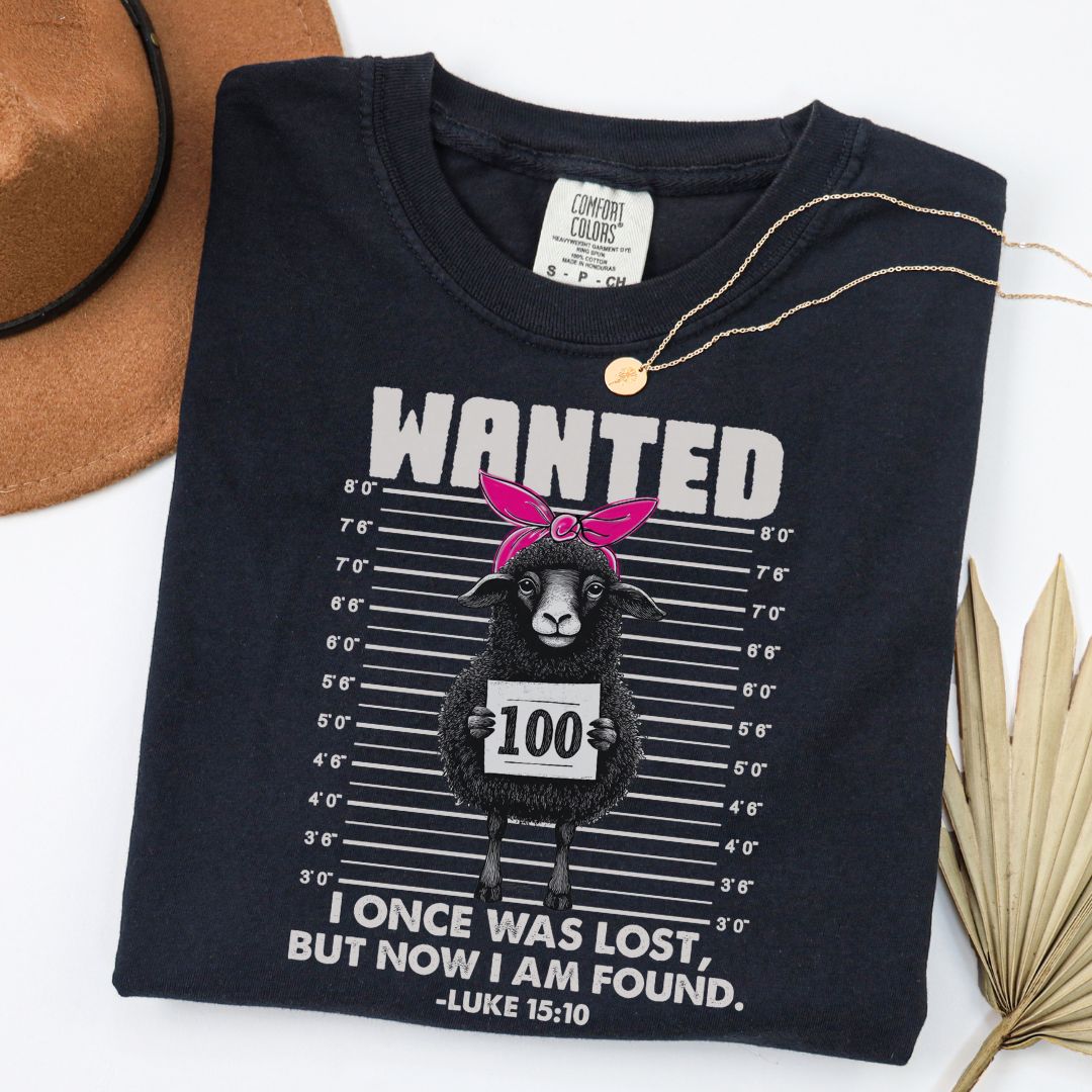 Funny Lost Lamb I Once Was Lost But Now I Am Found Tee Comfort Colors Black