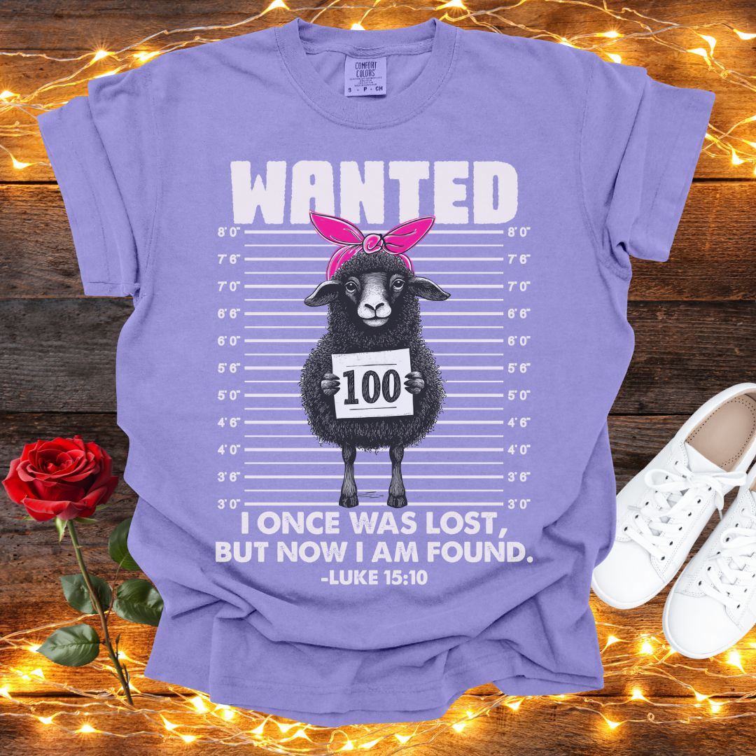 Funny Lost Lamb I Once Was Lost But Now I Am Found Tee Comfort Colors Violet