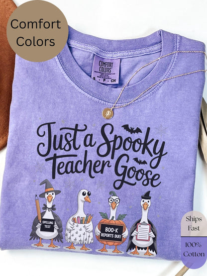 silly goose teacher shirt